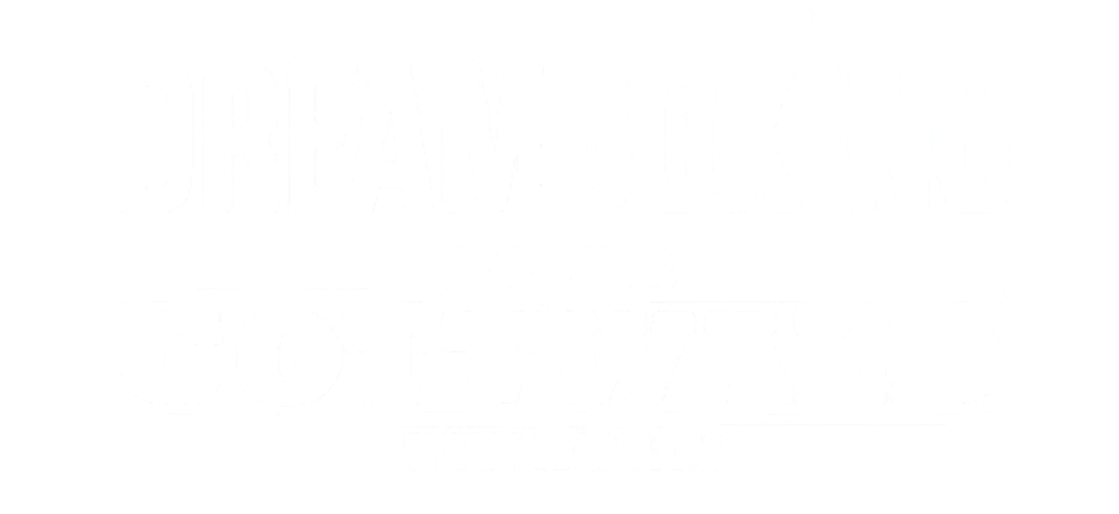 DreamBoxing — Rainer Gottwald The Brain